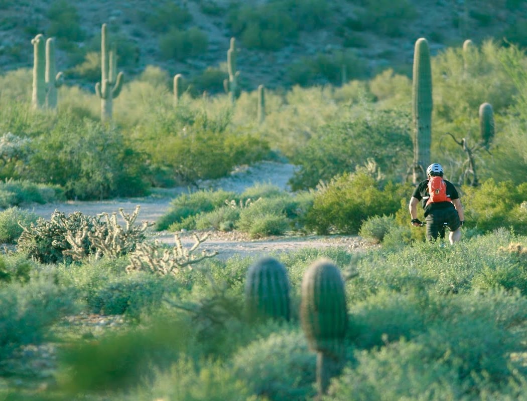 San Tan Mountain Regional Park 2