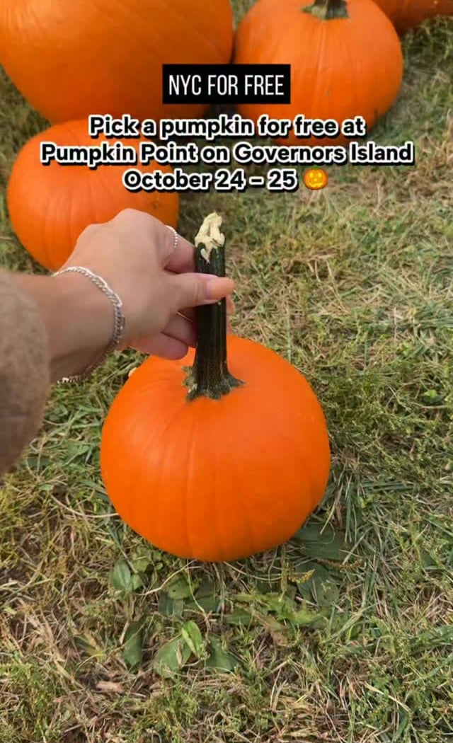 Pumpkin Point 1