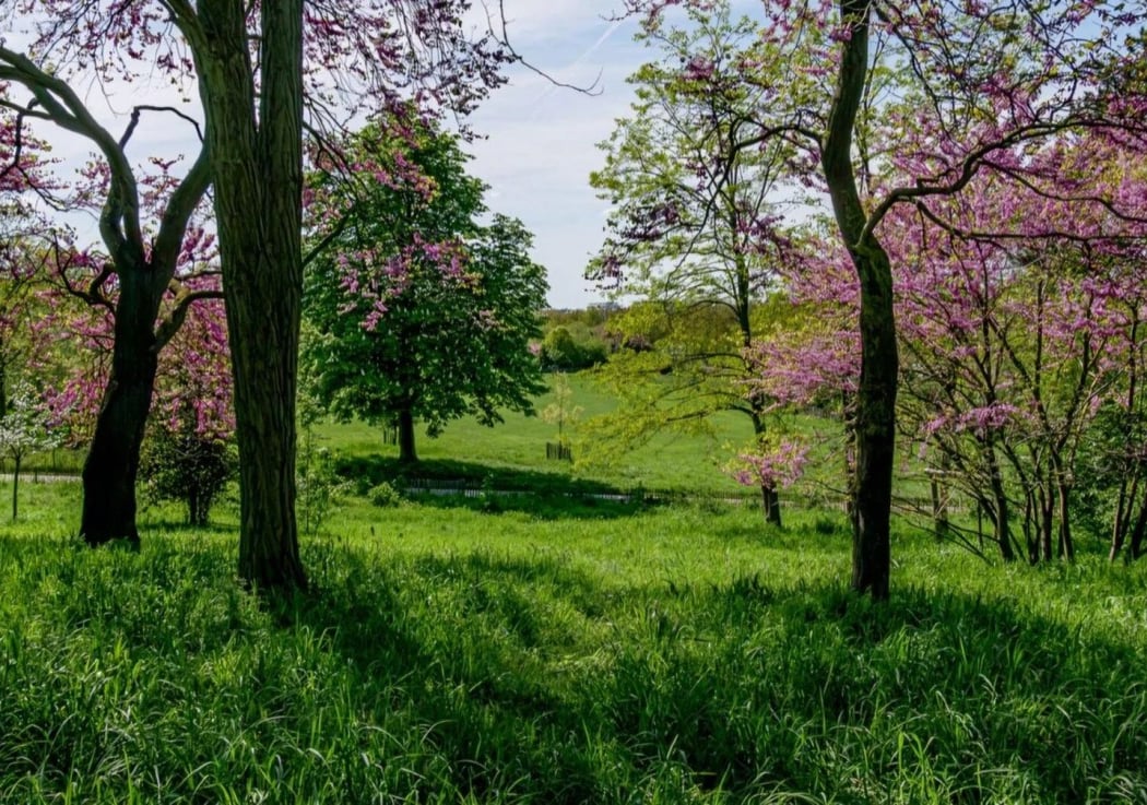 Parc Pierre Lagravère 4