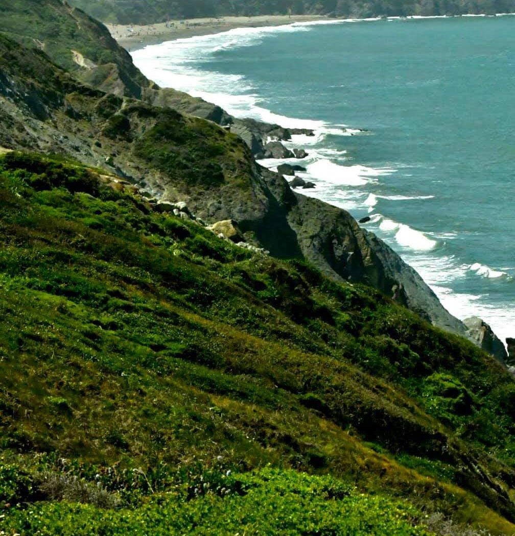 Sea Cliff 2
