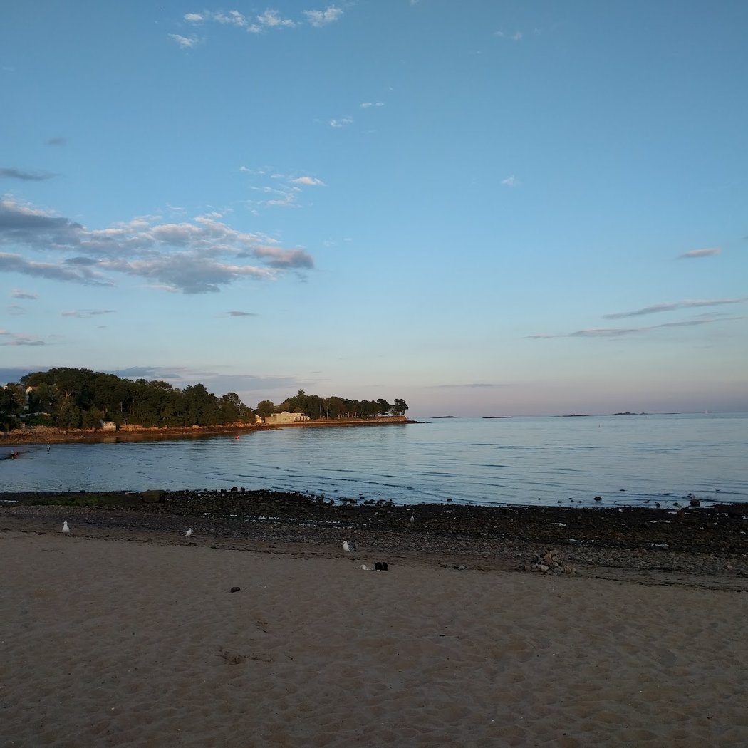 Dane Street Beach 3