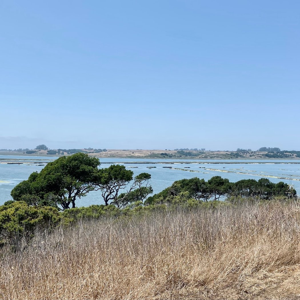 Elkhorn Slough Reserve 2