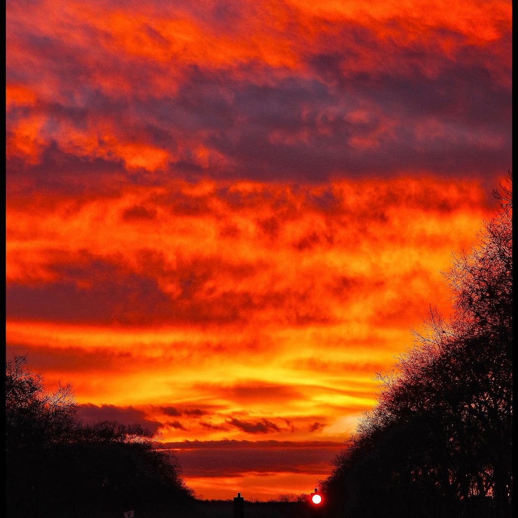 avenue de Paris 5