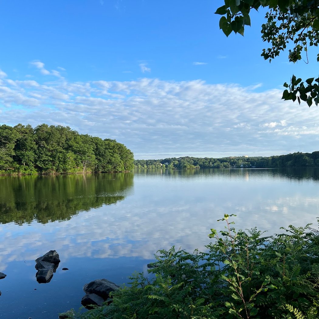 Fall Birding at Horn Pond 3