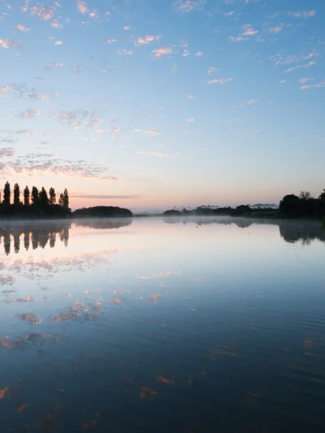 marais de Goulaine 1