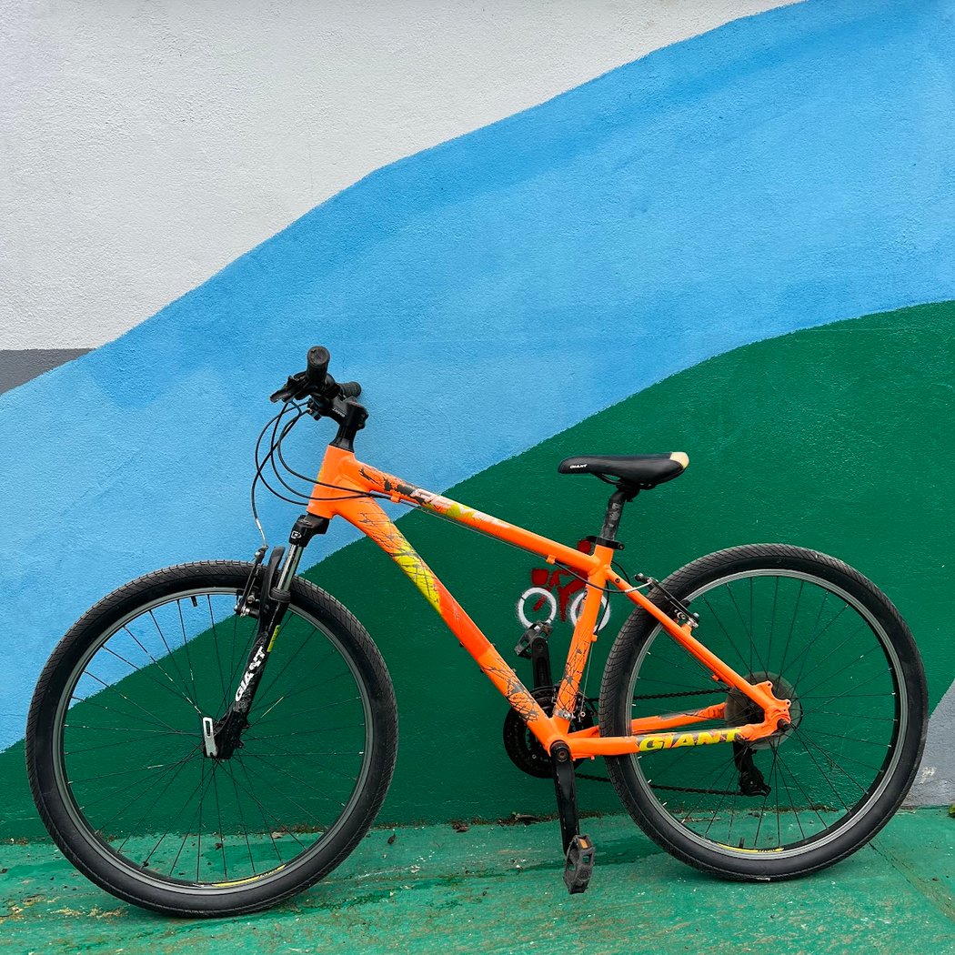 Vélo Voie Verte 3