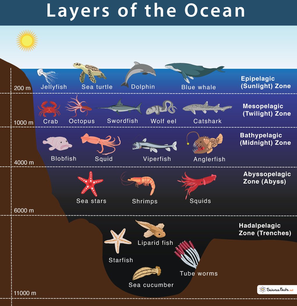 Unearthing Underwater: Layers of the Ocean 2