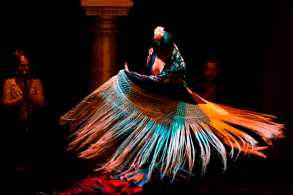 Sueños Flamencos 1