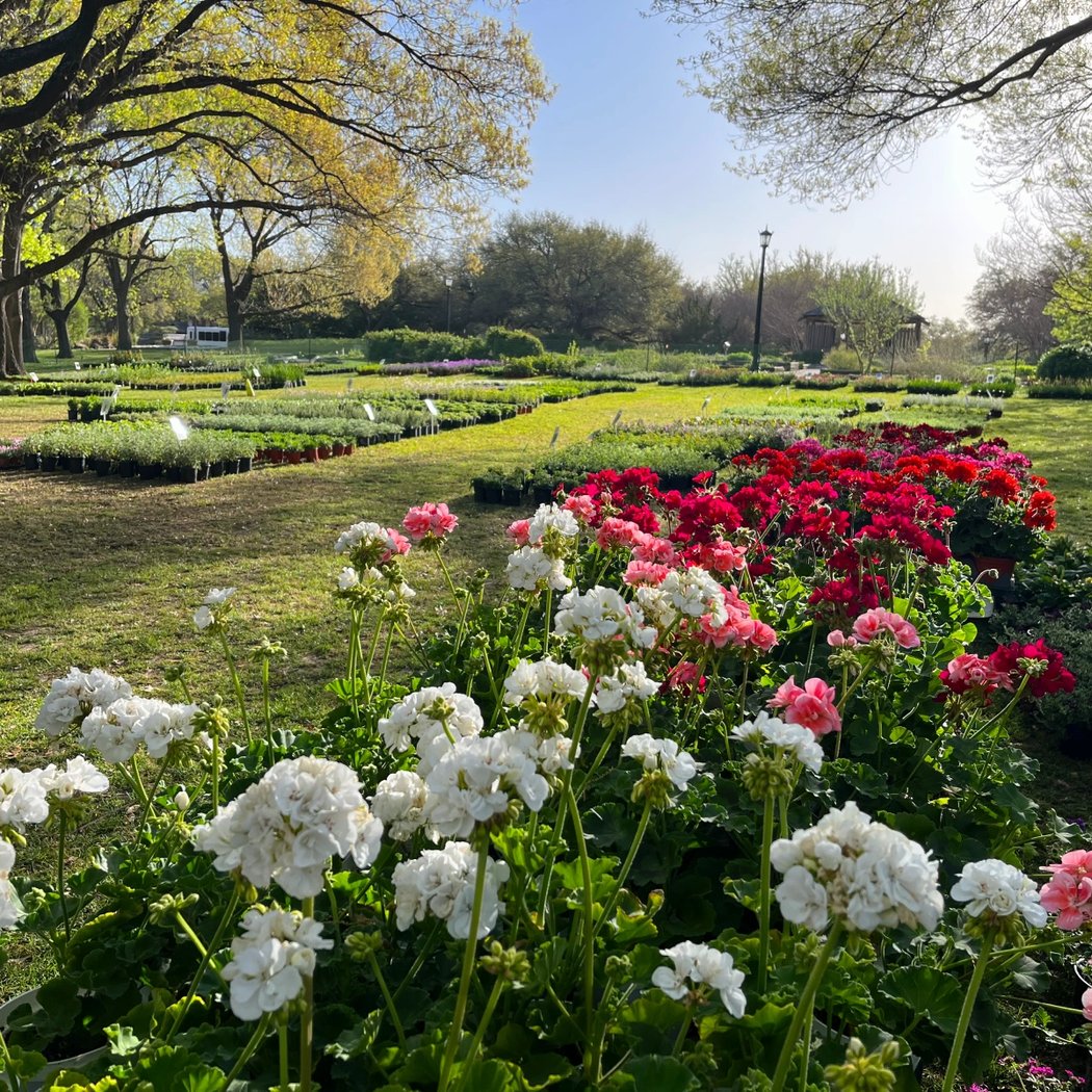 Members-Only Quiet Hour Walk: October 31 5