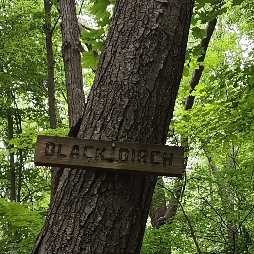 Fred Dill Wildlife Sanctuary 3