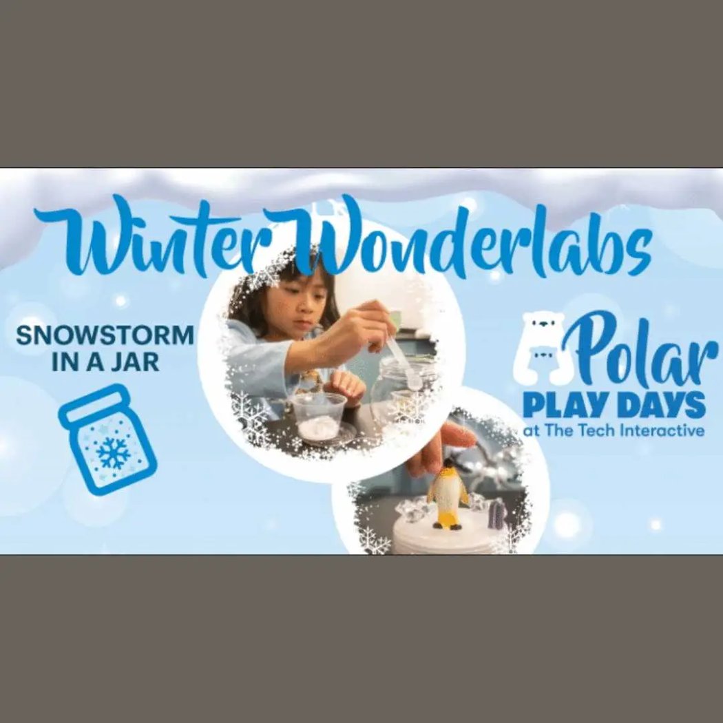 DIY Snow Globe Lab 1