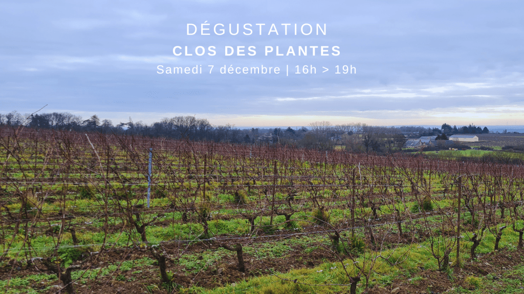 Dégustation des vins d'Olivier 2