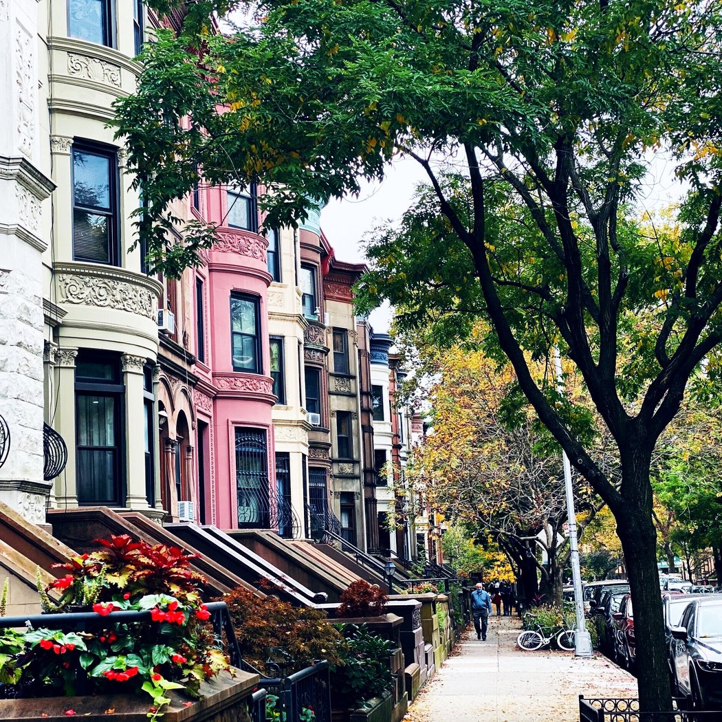 Prospect Heights Historic District 2
