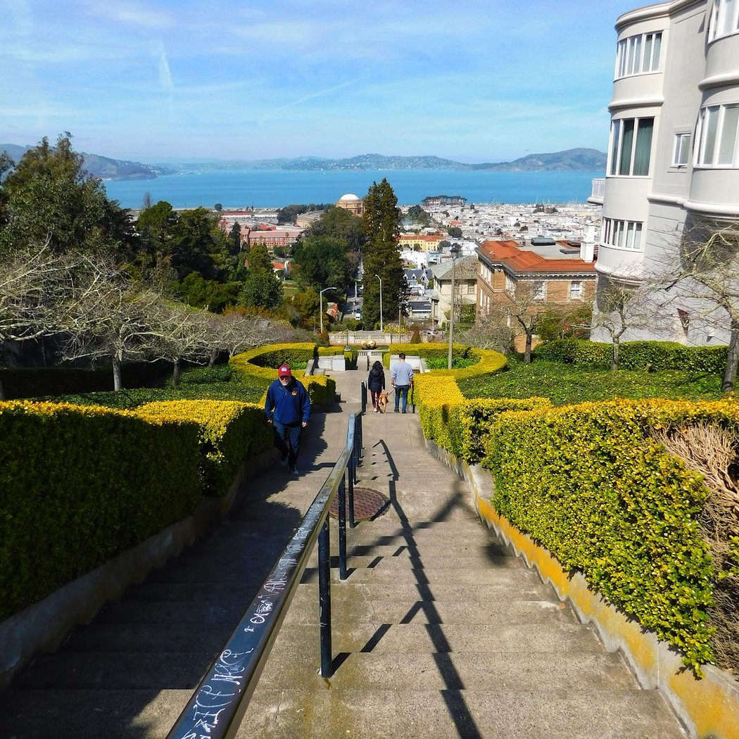 Presidio Heights 3