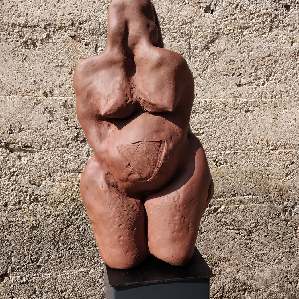 Vignoble Art Mas 1
