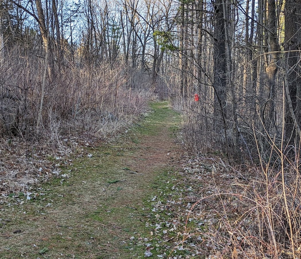 Habitat Hike with Cedar Lakes Conservation Foundation 2