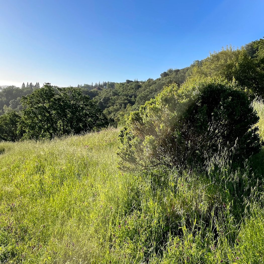 Las Trampas - Del Amigo Trail Entrance 3
