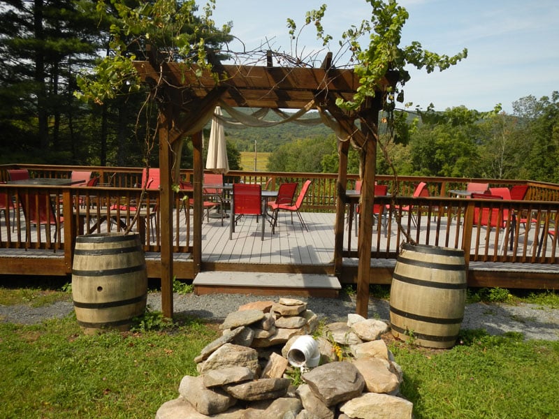 Bashakill Vineyards & Winery 3