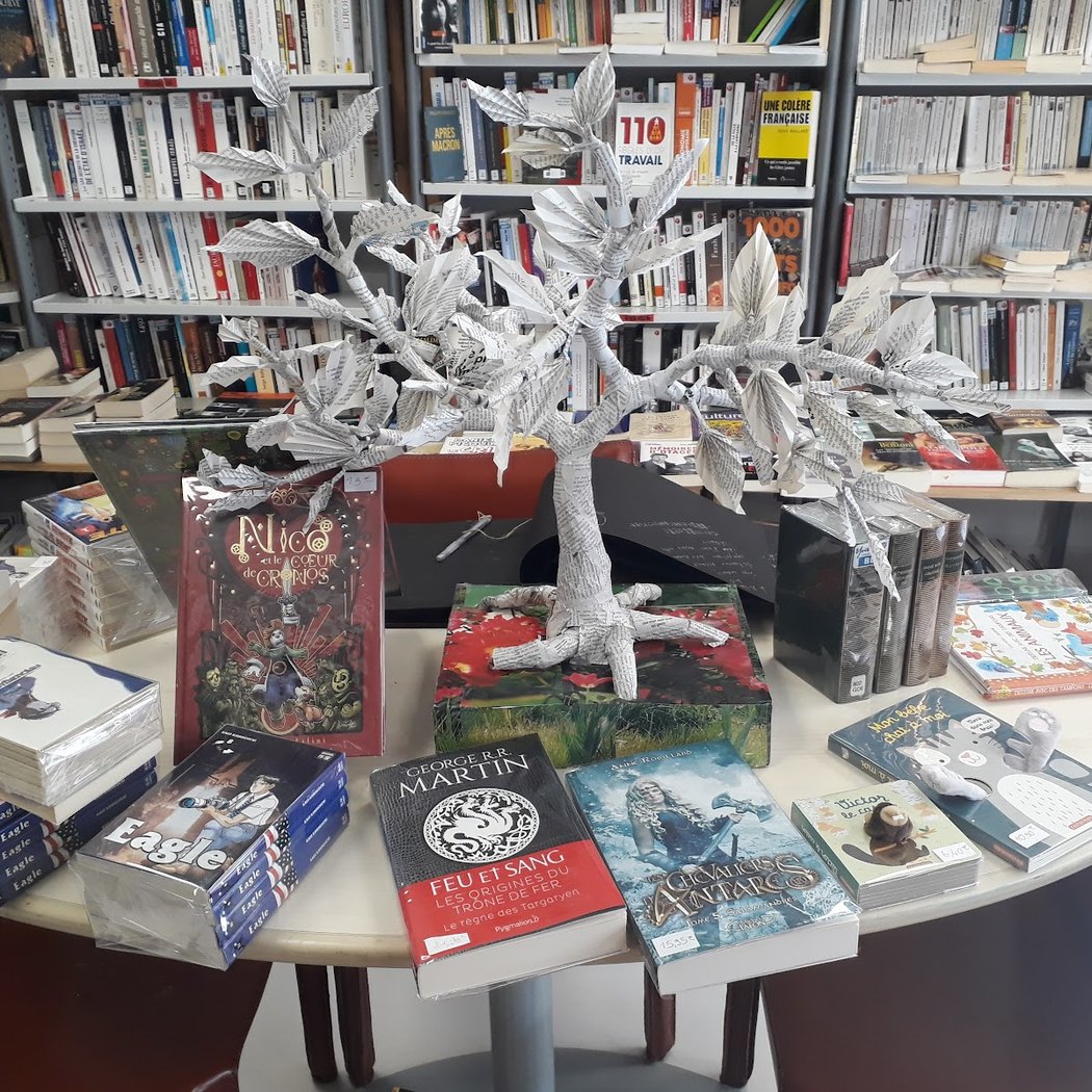 Aptimots Librairie Solidaire / Mur'envol 1