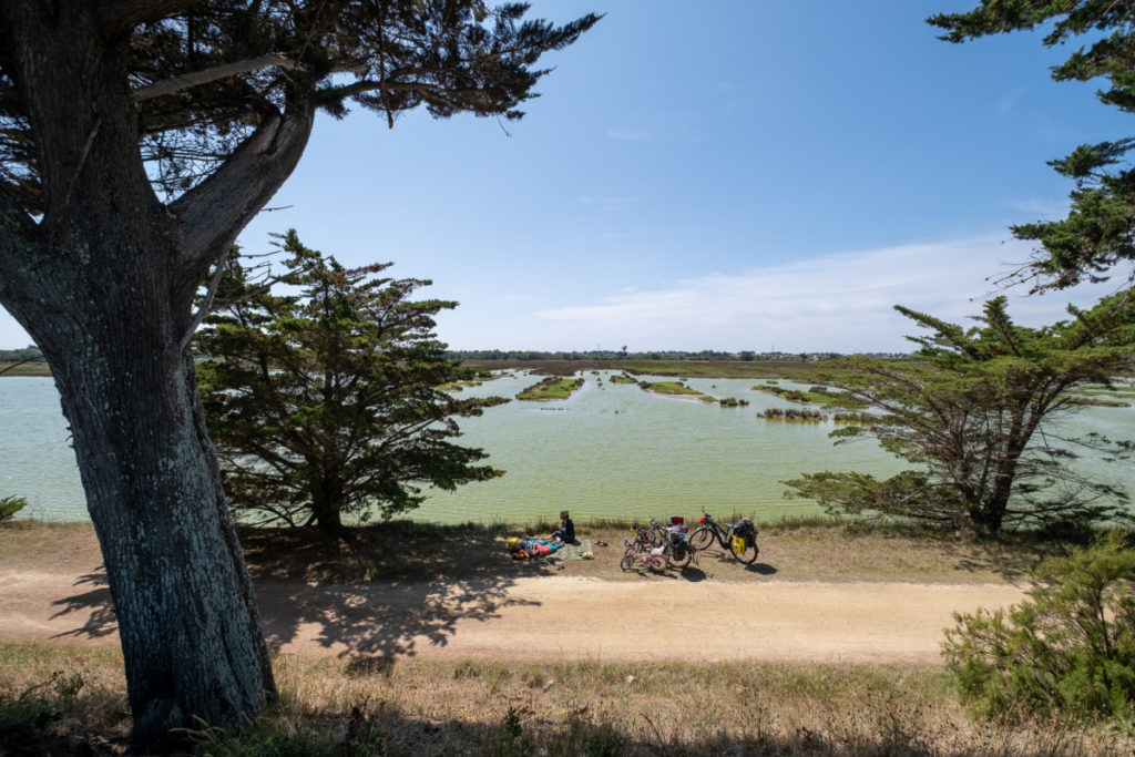 Polder de Sébastopol 2