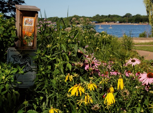 Nokomis Naturescape Gardening Volunteer Session 3