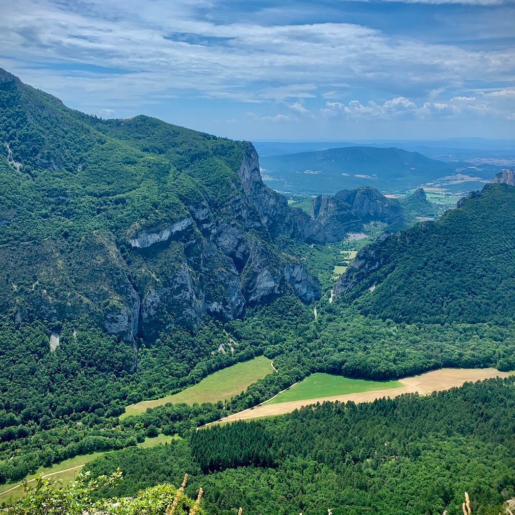 Forêt de Saou 1