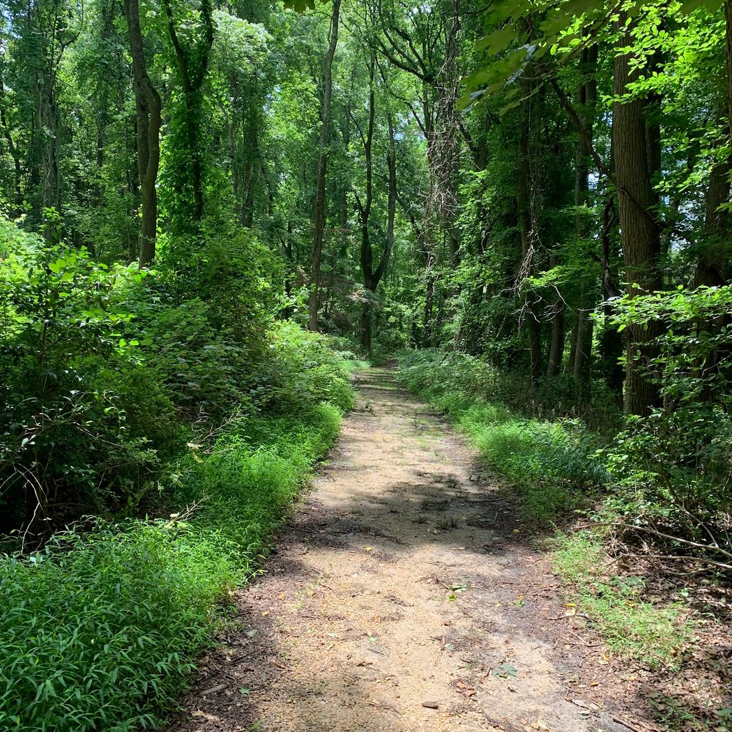 Rancocas Nature Center 2