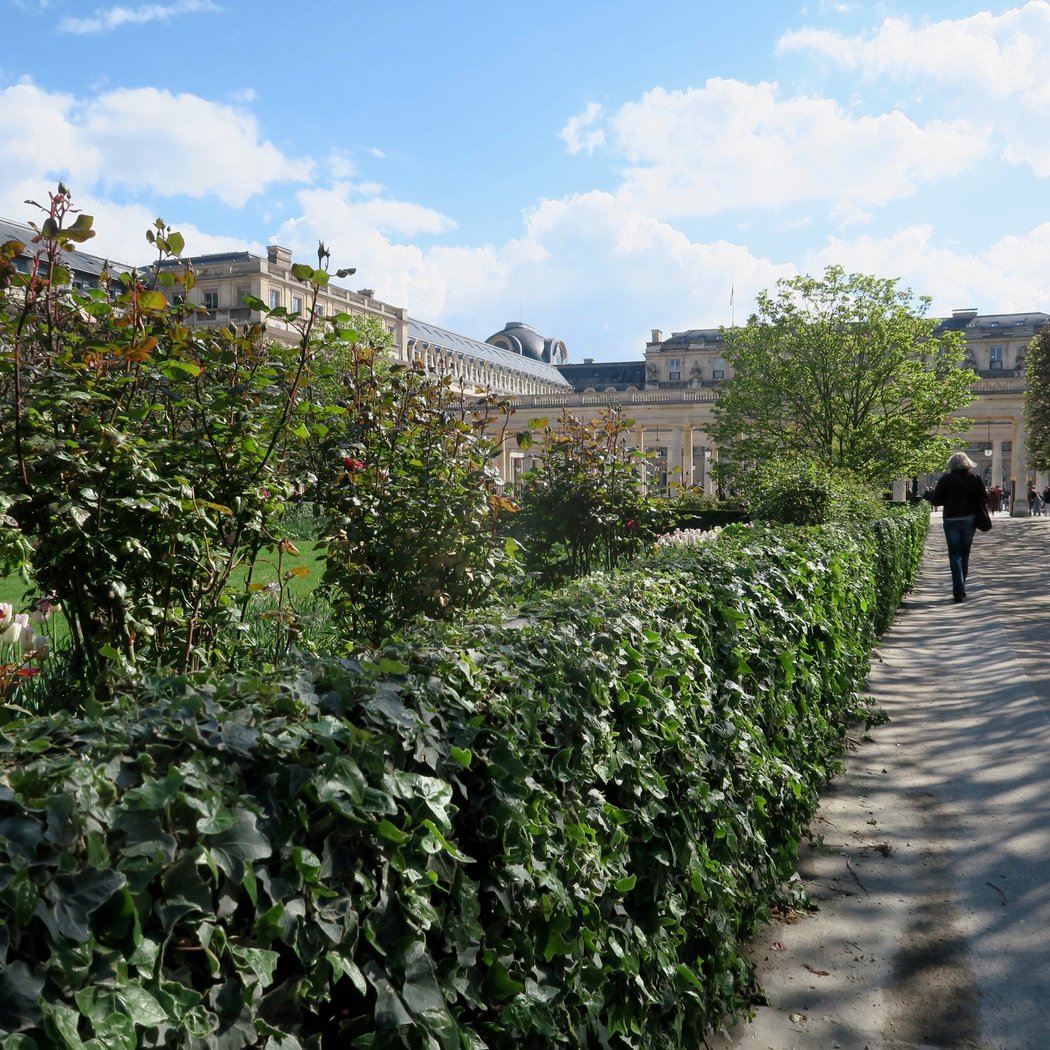 Palais-Royal 4