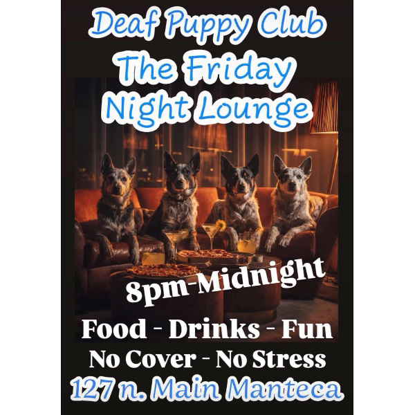 The Friday Night Lounge 1