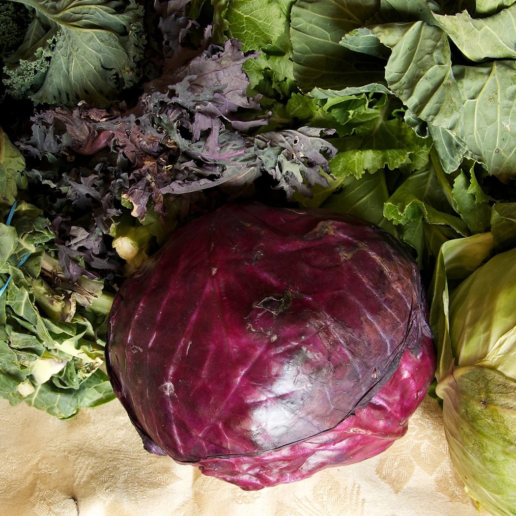 Carroll Gardens Greenmarket 3