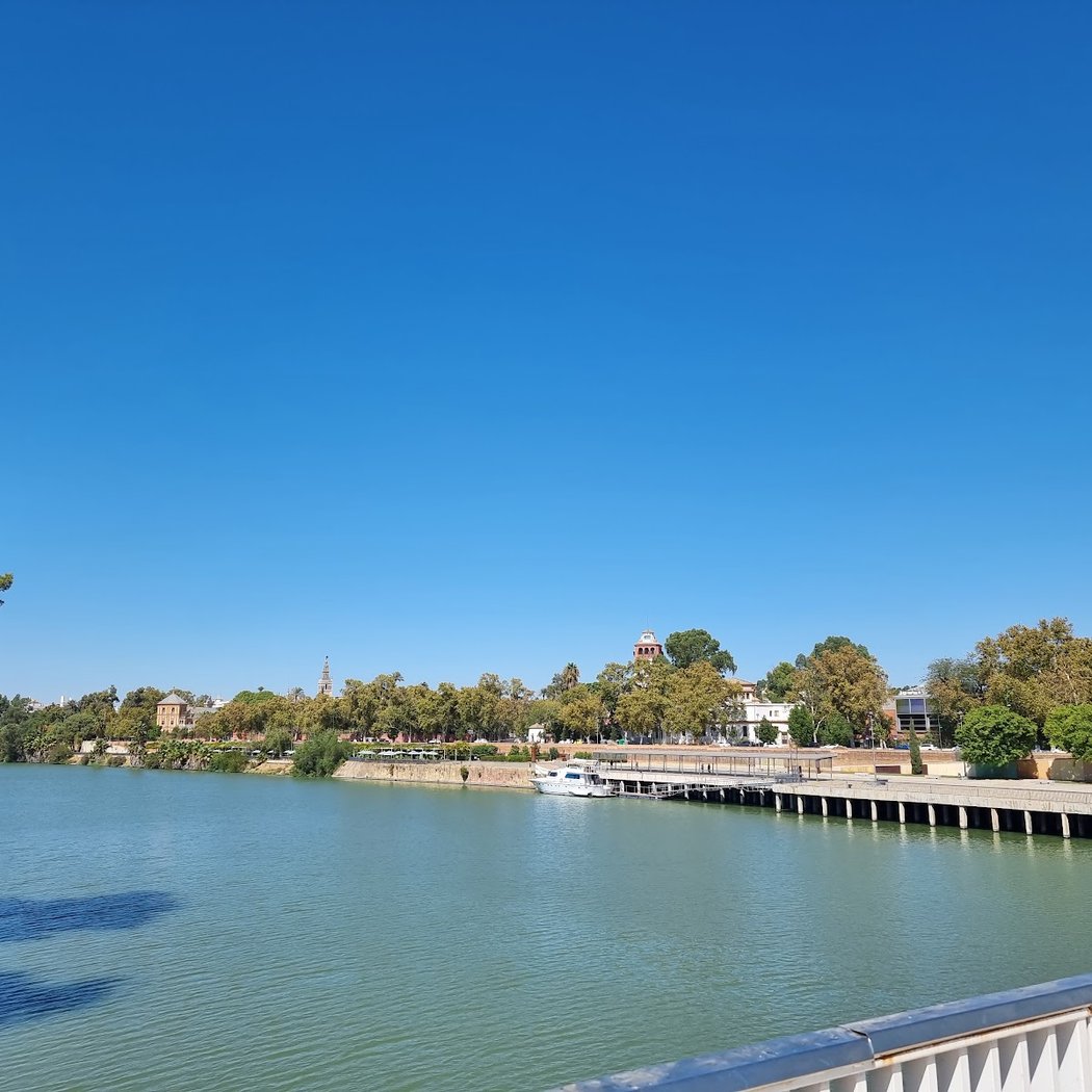 Puente de los Remedios 2