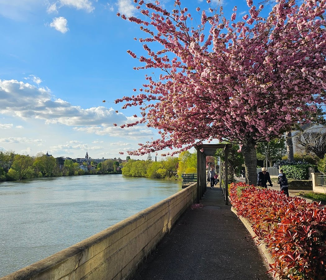 Bords de Marne 1