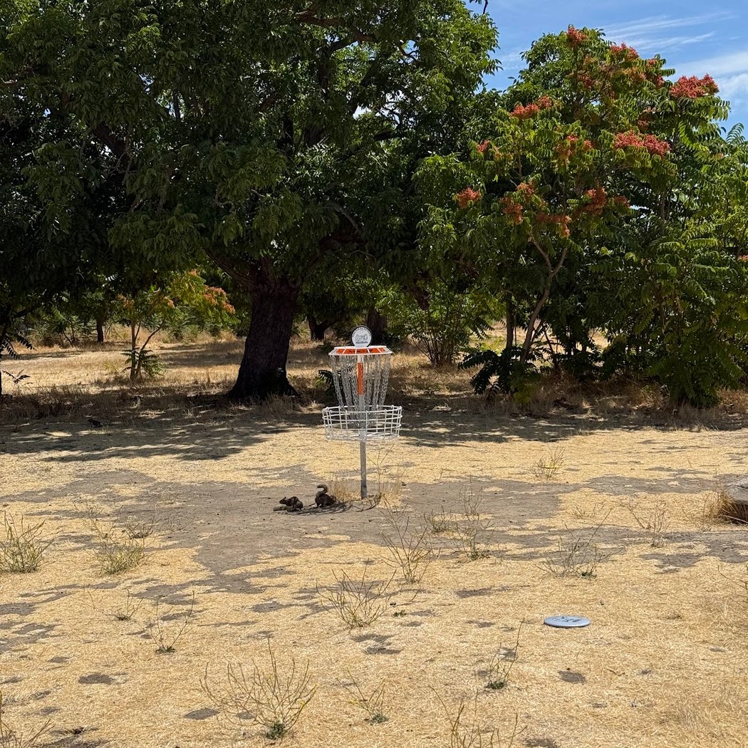 Kelley Park Disc Golf Course 1