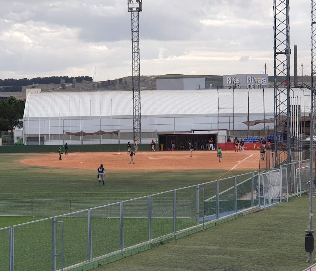 Día del Deporte 2026 2