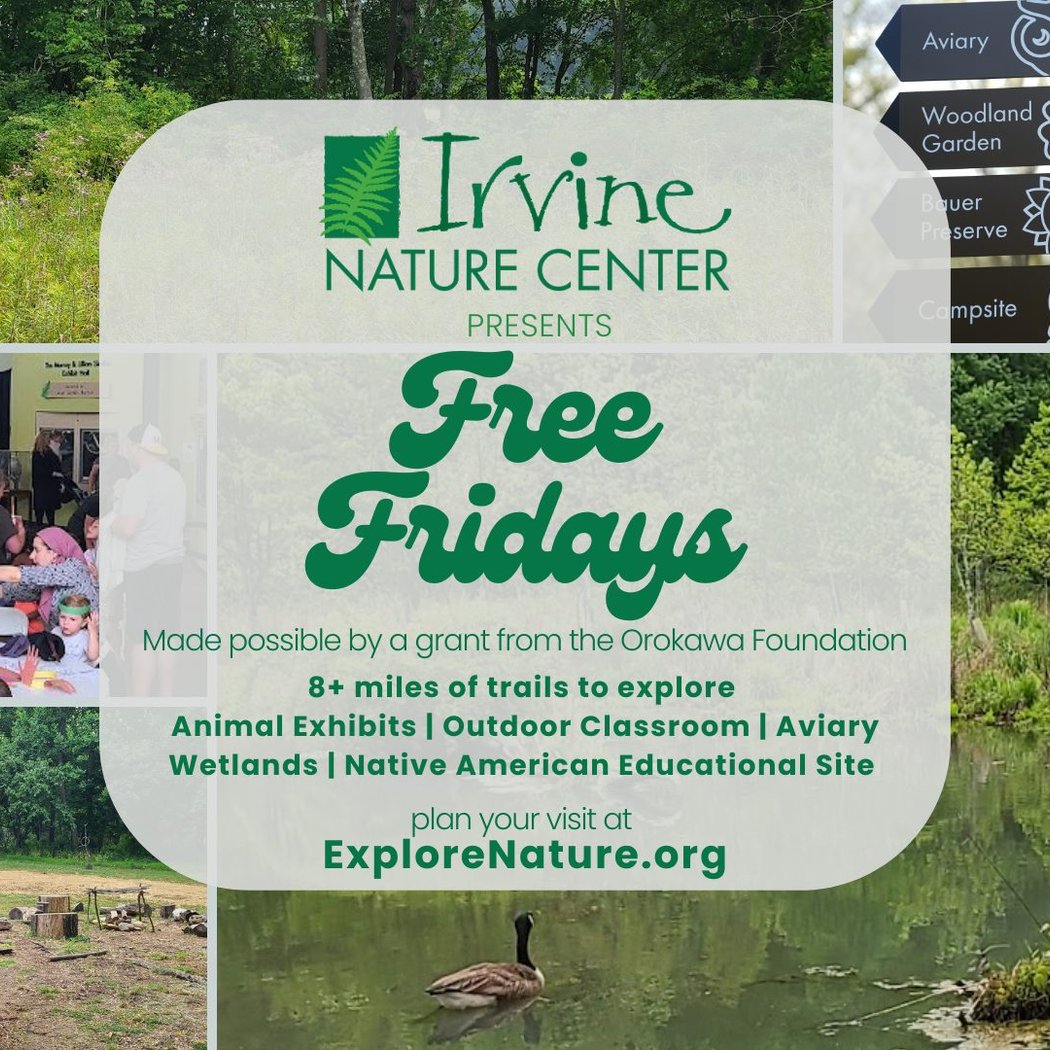 Free Fridays 1