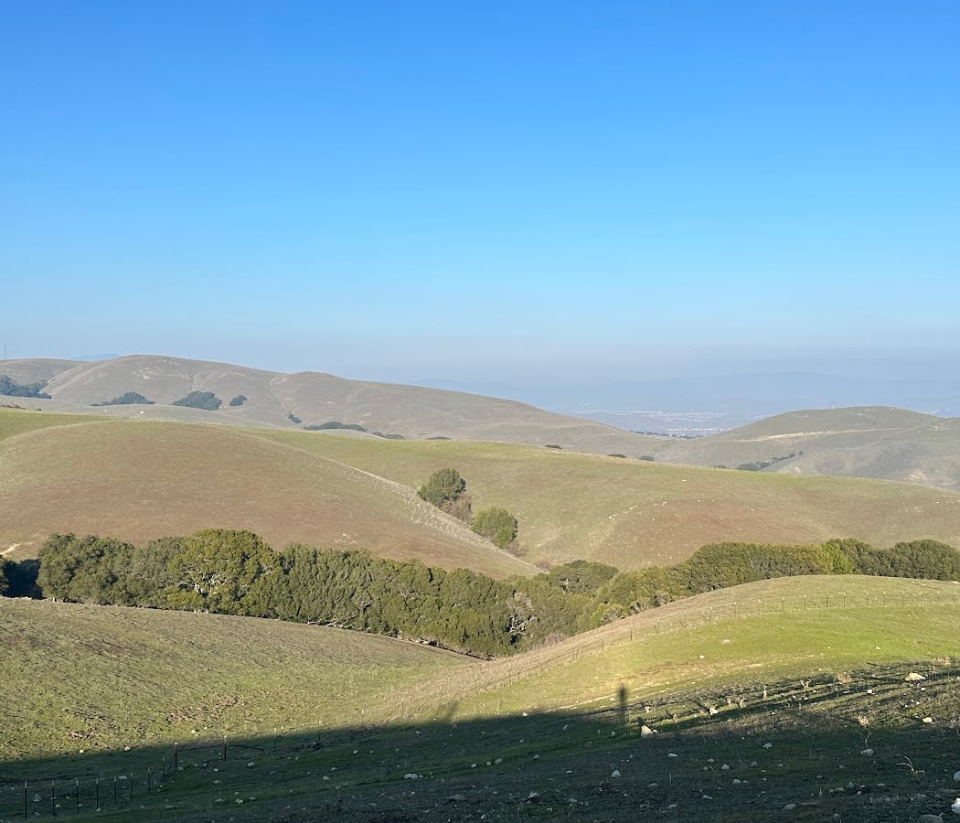 Dublin Hills Regional Open Space Preserve 2