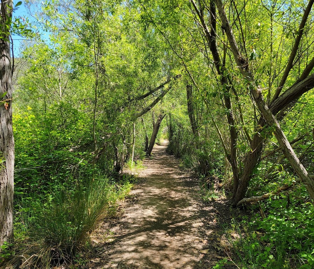 Buck Gully Loop Hike 1