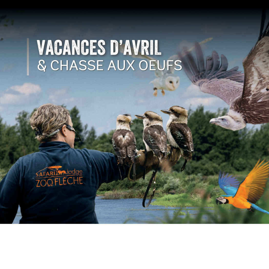 Vacances de Pâques : animations, jeux et chasse aux oeufs en famille 1