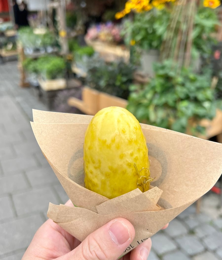 Die Saure Gurke GmbH 1