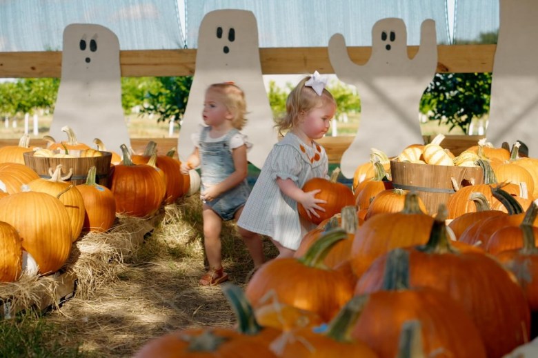 8th Annual Pumpkin Ponderosa