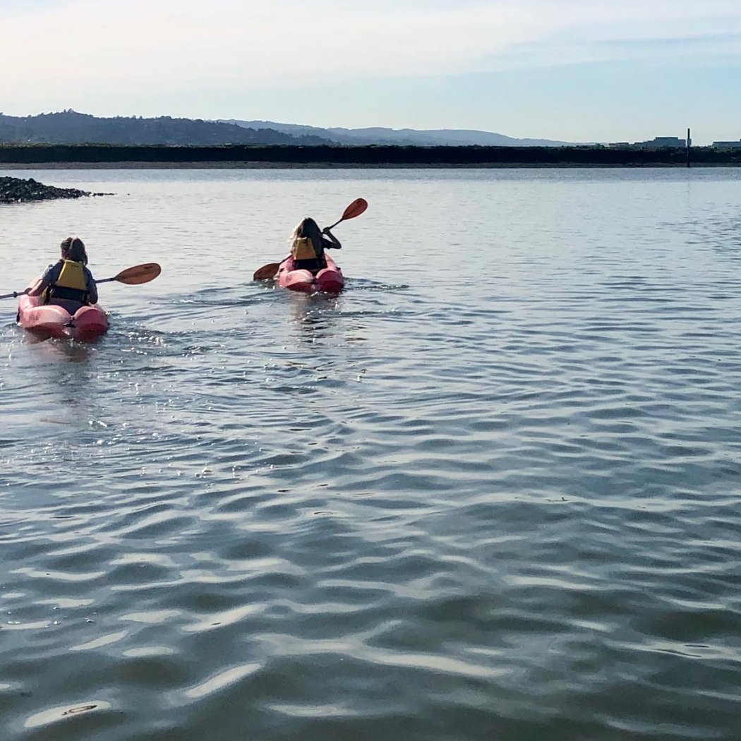 Bair Island Aquatic Center - Rowing and Paddling Club 2