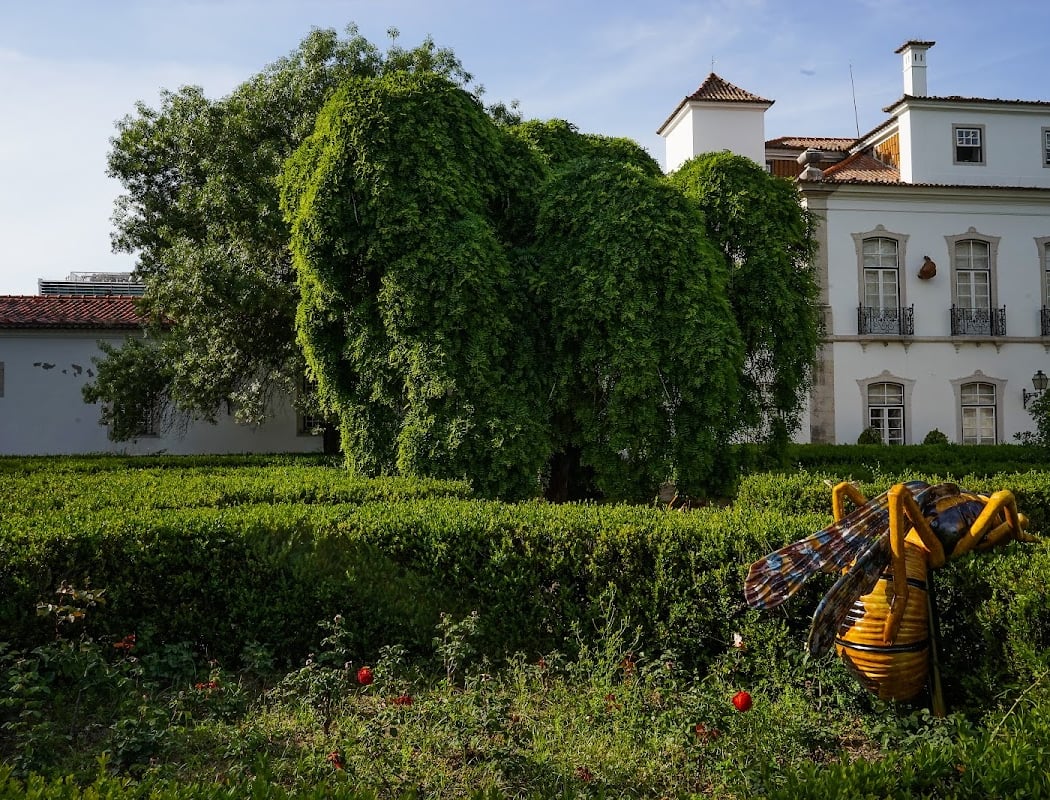 Museum of Lisbon – Pimenta Palace 2