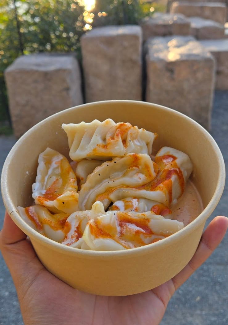 Dumpling Magic LIC 1