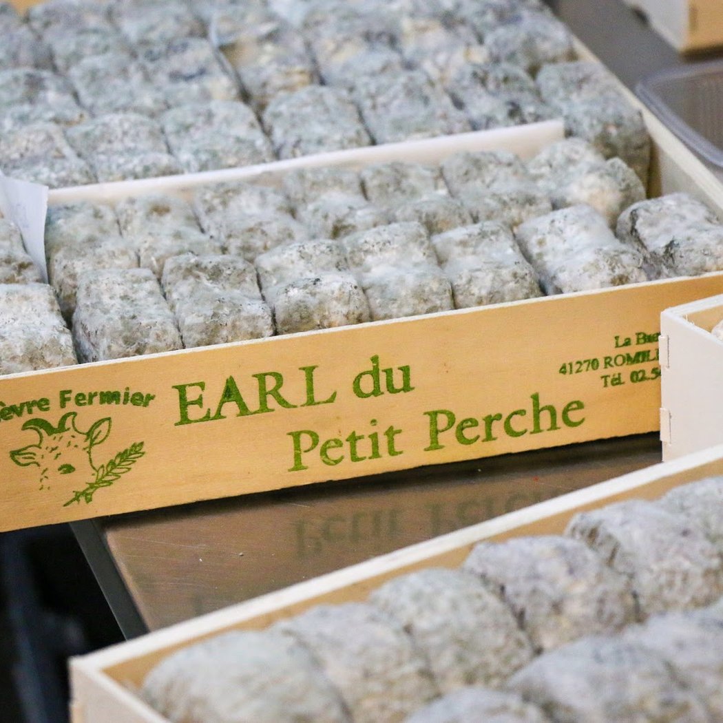 Earl Du Petit Perche 1