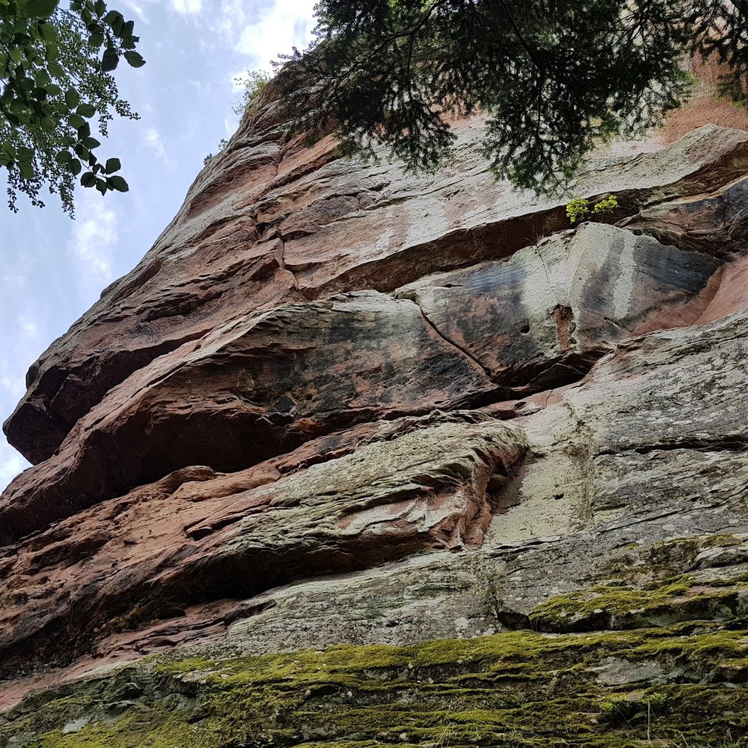 North Vosges Regional Natural Reserve 3
