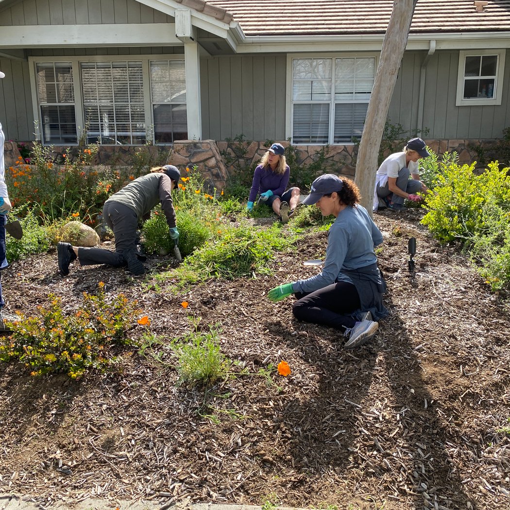 Weekly Weeders 3