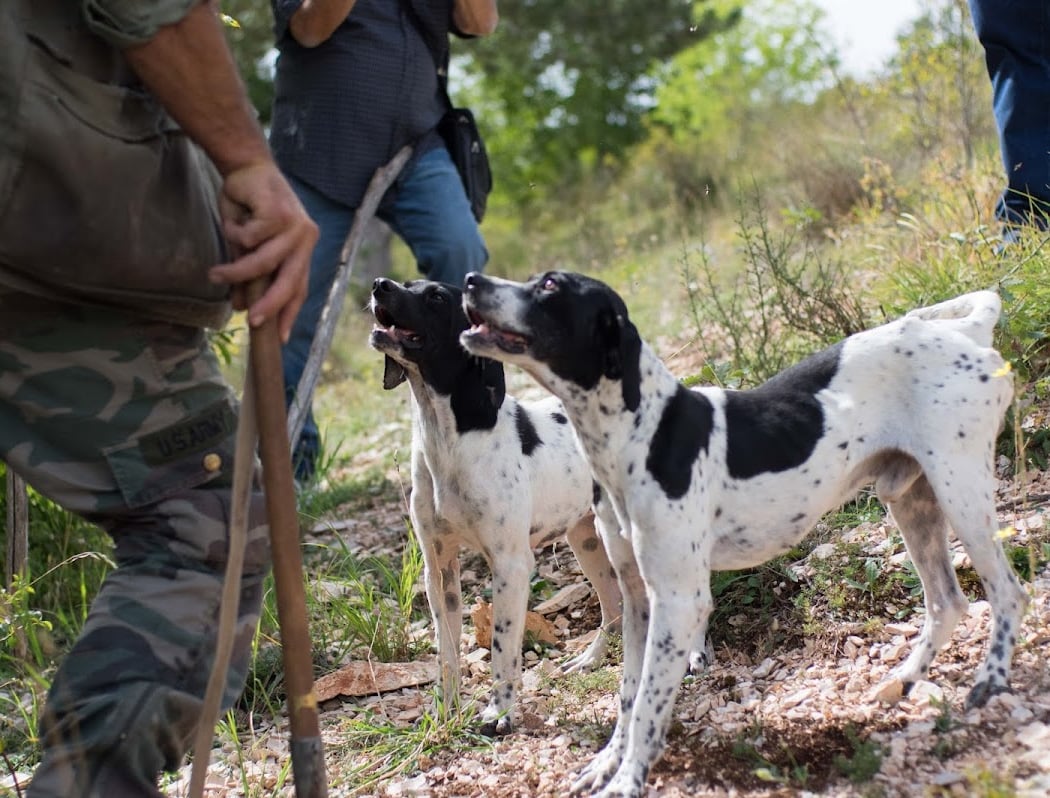 Wild Foods Truffle Hunt 1