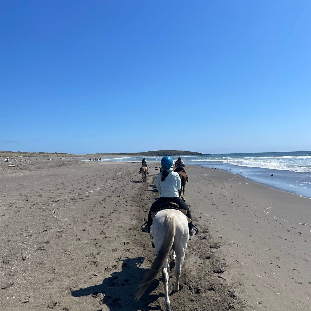 Horse N Around Trail Rides 3