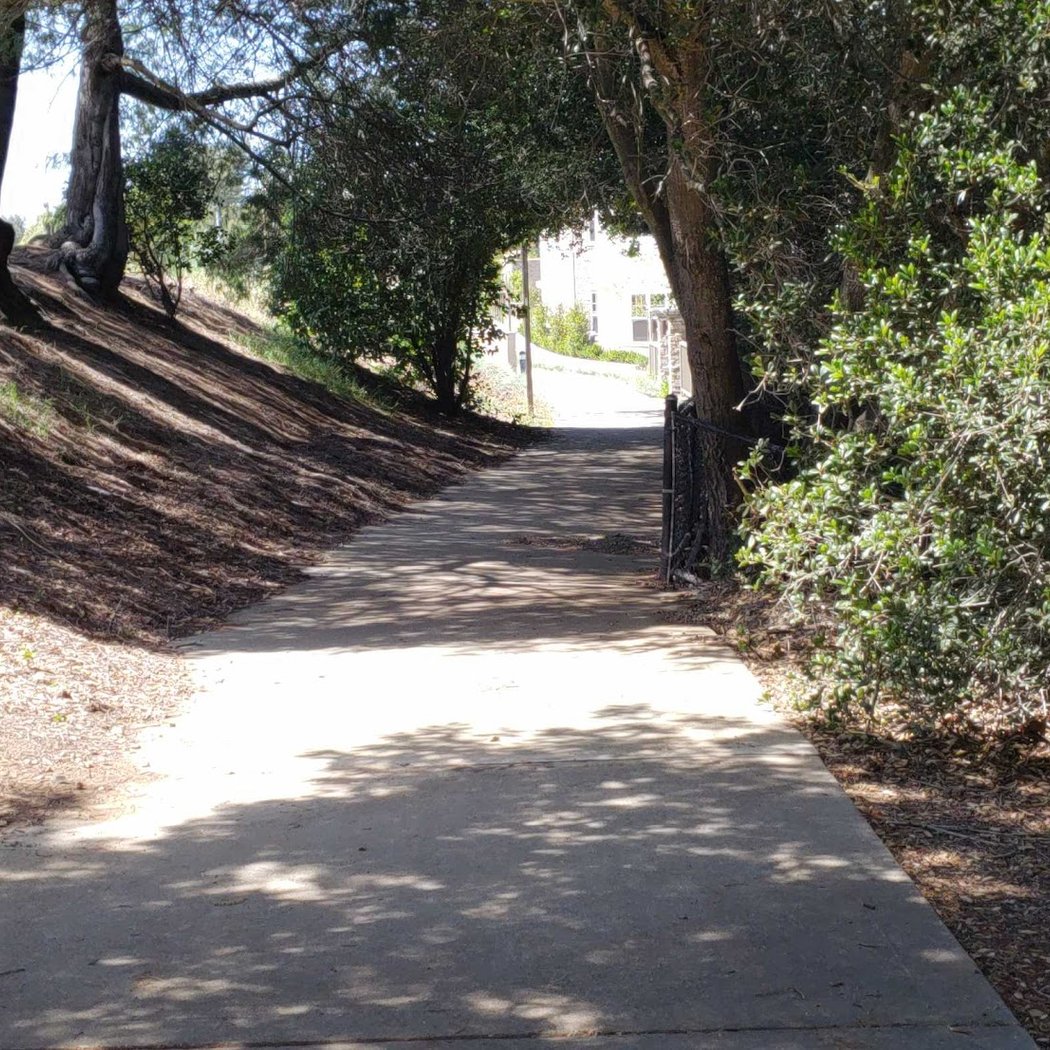 Moller Park 2