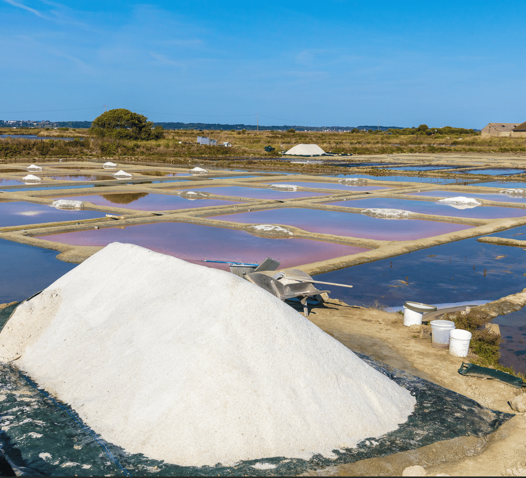 Marais salants 1